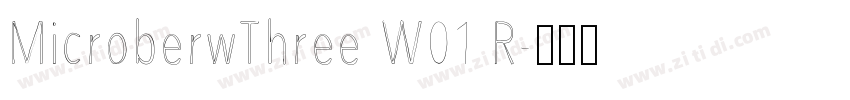 MicroberwThree W01 R字体转换